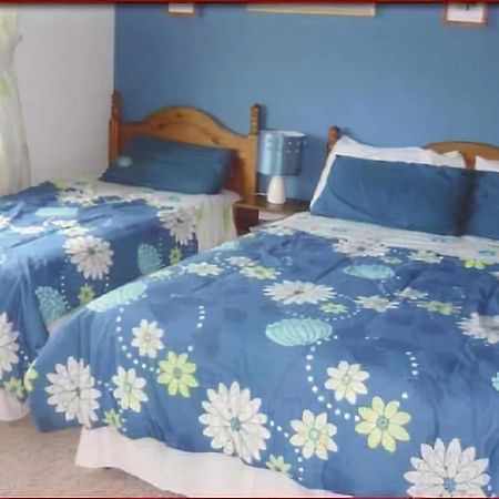 Belderg The Yellow Rose B&B المظهر الخارجي الصورة