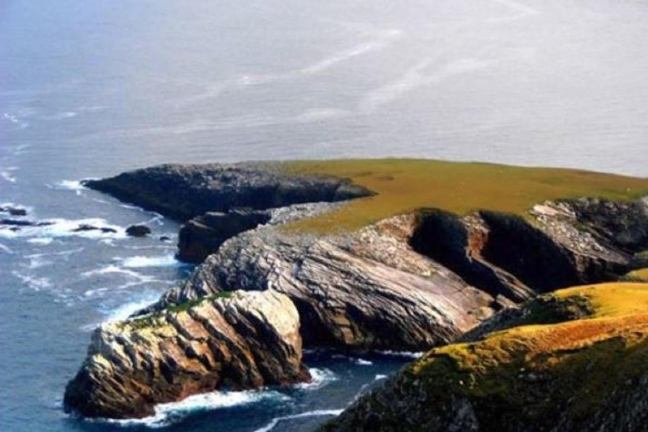 Belderg The Yellow Rose B&B المظهر الخارجي الصورة