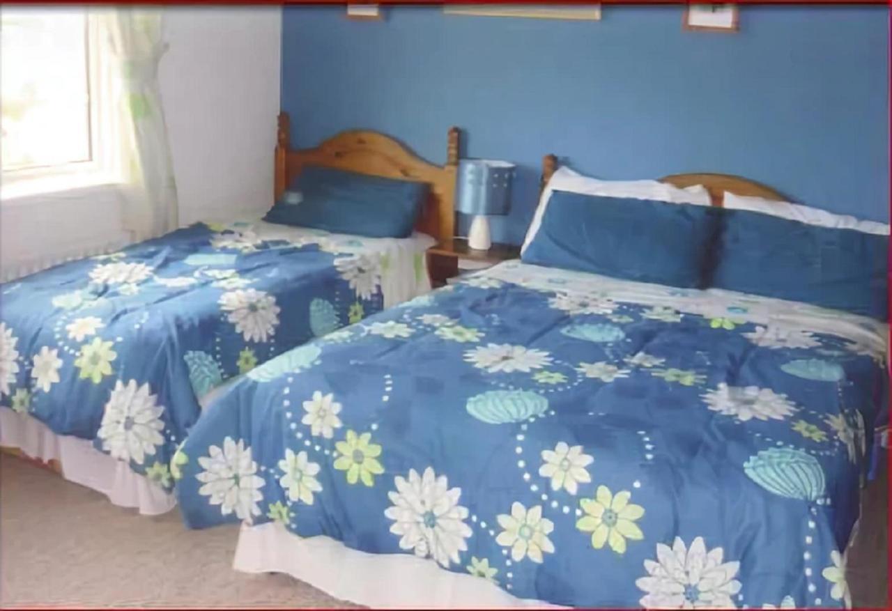 Belderg The Yellow Rose B&B المظهر الخارجي الصورة
